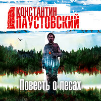 Обложка: Константин Паустовский. «Повесть о лесах»