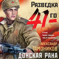 Обложка: Александр Тамоников. «Донская рана»
