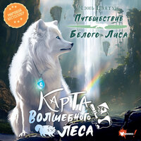 Обложка: Чэнь Цзятун. «Карта Волшебного леса»