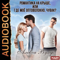 Обложка: Вулф Алекса. «Романтика на крыше, или Где моё оптоволокно, чувак?»