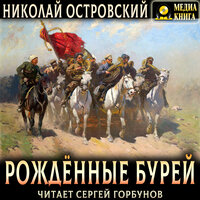 Обложка: Николай Островский. «Рожденные бурей»