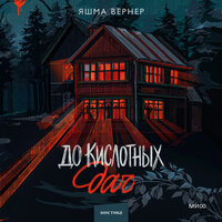 Обложка: Яшма Вернер. «До кислотных дач»
