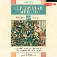 Обложка: Серебряная метель. Рождественские истории и святочные рассказы