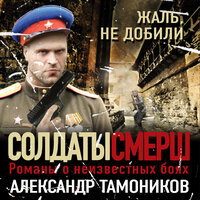 Обложка: Александр Тамоников. «Жаль, не добили»