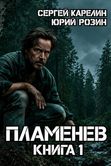 Обложка: Пламенев. Книга 1