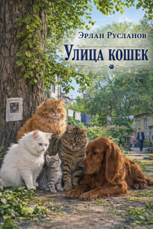 Обложка: Улица кошек
