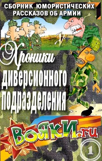Обложка: Хроники диверсионного подразделения