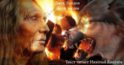 Обложка: Закон жизни