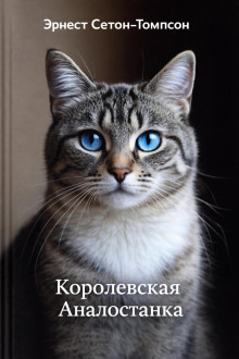Обложка: Королевская Аналостанка