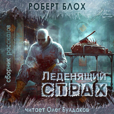Обложка: Жуки