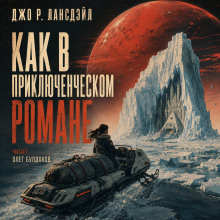 Обложка: Как в приключенческом романе