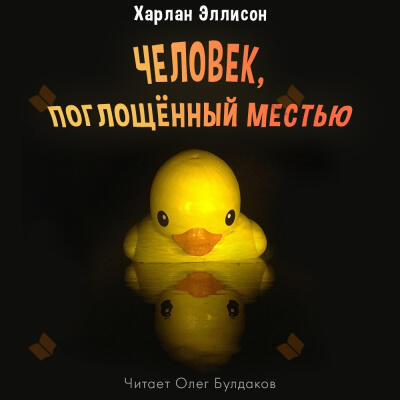 Обложка: Человек, поглощённый местью