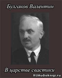 Обложка: В царстве свастики