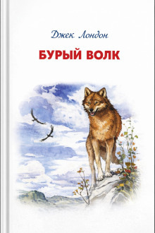 Обложка: Бурый Волк