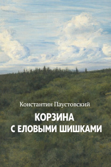 Обложка: Корзина с еловыми шишками