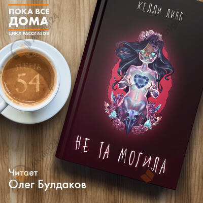 Обложка: Не та могила