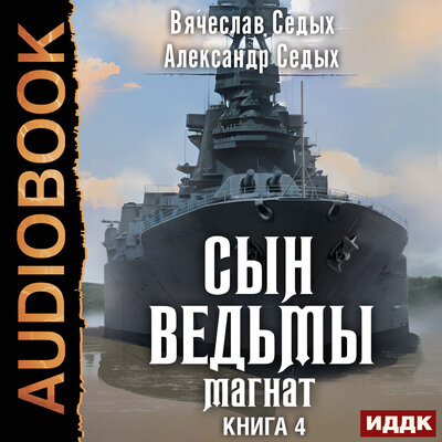 Обложка: Александр Седых ,  Вячеслав  Седых. «Сын ведьмы. Книга 4. Магнат»