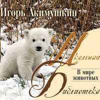 Обложка: Акимушкин И.И.. «В мире животных»
