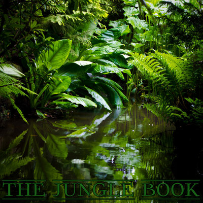 Обложка: The Jungle Book VIP Edition