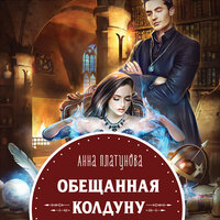 Обложка: Анна Платунова. «Обещанная колдуну»