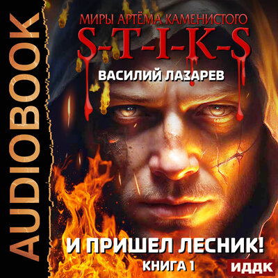 Обложка: Василий Лазарев. «Миры Артёма Каменистого. S-T-I-K-S. И пришёл Лесник! Книга 1»