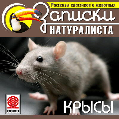 Обложка: Коллектив авторов. «Рассказы классиков о животных. Крысы»