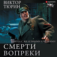 Обложка: Тюрин Виктор. «Ангел с железными крыльями»