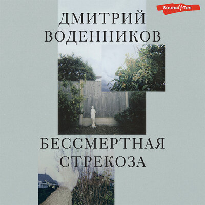 Обложка: Дмитрий Воденников. «Бессмертная стрекоза»