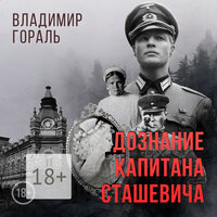 Обложка: Владимир Гораль. «Дознание капитана Сташевича»
