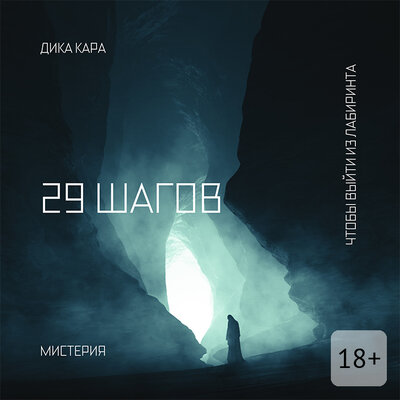 Обложка: Дика Кара. «29 шагов»