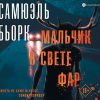 Обложка: Бьорк Самюэль. «Мальчик в свете фар»