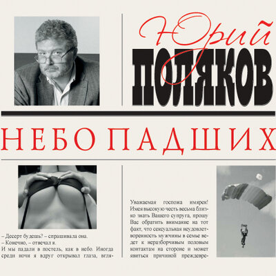 Обложка: Поляков Юрий Михайлович. «Небо падших»