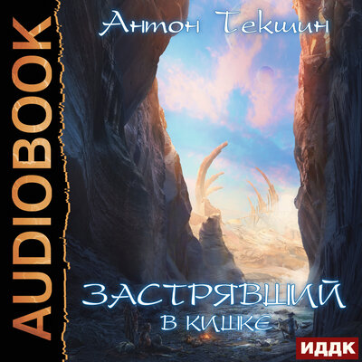 Обложка: Антон Текшин. «Застрявший. Книга 3. Застрявший в Кишке»