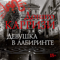 Обложка: Донато Карризи. «Девушка в лабиринте»