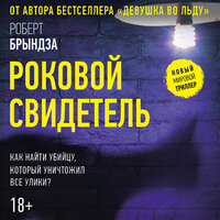 Обложка: Роберт Брындза. «Роковой свидетель»