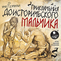 Обложка: Эрнест Д`Эрвильи. «Приключения доисторического мальчика»