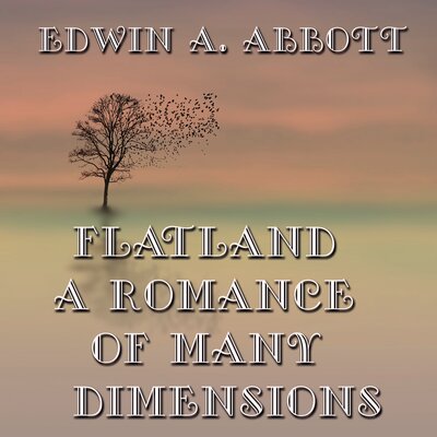 Обложка: Edwin A. Abbott. «Flatland A Romance of Many Dimensions»