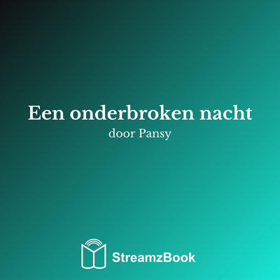 Обложка: Een onderbroken nacht