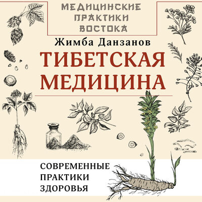 Обложка: Жимба Данзанов. «Тибетская медицина: современные практики здоровья»