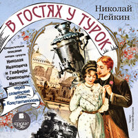 Обложка: Николай Лейкин. «В гостях у турок. Юмористическое описание поездки супругов Николая Ивановича и Глафиры Семеновны Ивановых через славянские земли в Константинополь»