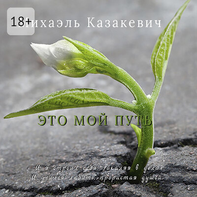 Обложка: Михаэль Казакевич. «Это мой путь»