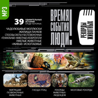 Обложка: Коллектив авторов. «Рекорды животных»