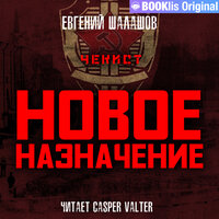 Обложка: Евгений Шалашов. «Чекист. Новое назначение»