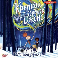 Обложка: Роб Биддальф. «Крепкий орешек Джонс и нарисованный город»