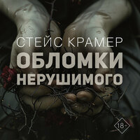 Обложка: Стейс Крамер. «Обломки нерушимого»