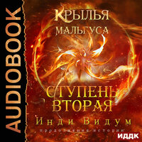 Обложка: Инди Видум. «Крылья Мальгуса. Ступень вторая»