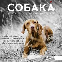 Обложка: Алексей Целлариус. «Собака. Полное руководство по дрессировке и уходу»