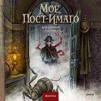Обложка: Владимир Торин. «Моё пост-имаго»