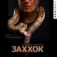Обложка: Владимир Медведев. «Заххок»