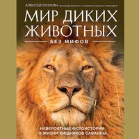 Обложка: Алексей Осокин. «Мир диких животных без мифов. Невероятные фото-истории о жизни хищников саванны»